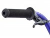 Eastern "Axis" 2013 BMX Rad