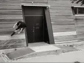 Miguel Smajli Miguel Smajli