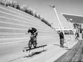 Wibke Vogel Wibke Vogel