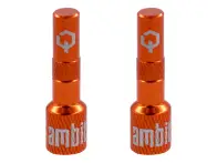 Ambit "Realm" Tubeless Ventil Adapter