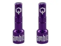 Ambit "Realm" Tubeless Ventil Adapter