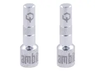 Ambit "Realm" Tubeless Ventil Adapter