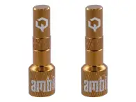 Ambit "Realm" Tubeless Ventil Adapter
