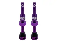 Ambit "Realm" Tubeless Ventile