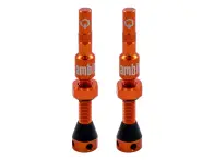 Ambit "Realm" Tubeless Ventile