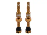 Ambit "Realm" Tubeless Ventile