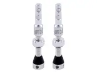 Ambit "Realm" Tubeless Valves