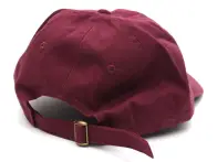 Animal Bikes "Icon" Cap - Maroon