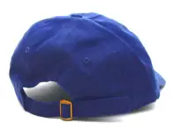 Animal Bikes "Icon" Kappe - Royal Blue