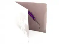 Ares Bikes "Peace Ring" Kettenblatt