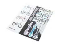 BMX Rider Magazin "Issue #12"