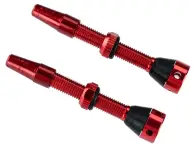 Brave Tubeless Ventile - 44mm