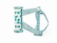 BSD "ALVX V3" 2017 BMX Frame - Limited Digital Camo
