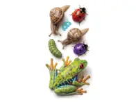 Bumbinos "Splash Pack" Kids Schutzblech Set - vorne + hinten