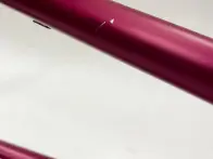 B-Goods - wethepeople "Buck" 2020 BMX Frame