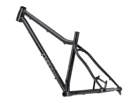 Chromag "Rootdown" MTB Frame - 29 Inch