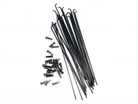 Colony "Plain Gauge" Spokes (20 pc)