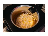 CyclOn "Pro Wax Melter" Wax Melter
