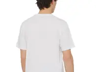 Dickies "Aitkin" T-Shirt - White/Dark Forest