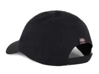 Dickies "Hardwick Baseball Strapback" Cap - Aventurine