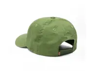 Dickies "Hardwick Snapback" Cap - Army Green