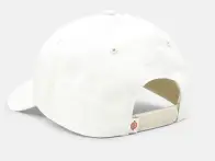 Dickies "Hardwick Snapback" Cap - Light Taupe