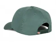 Dickies "Hardwick Snapback" Cap - Sea Spray