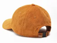 Dickies "Higginson 6 Panel" Cap - Pumpkin Spice