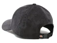Dickies "Higginson 6 Panel" Cap - Black