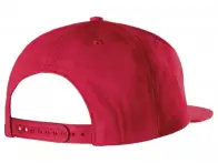 Etnies "Icon Snapback" Cap - Brick