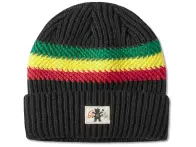 Etnies X Grizzly Beanie