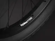 Flybikes "Sion" 2019 BMX Bike - Flat Trans Black - RHD