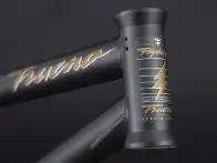 Flybikes "Trueno" 2017 BMX Frame