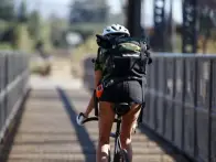 Hiplok "Gold" Bike Locks
