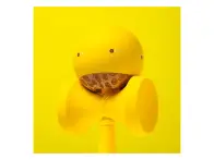 KROM Kendama "Kolor" Kendama - Yellow