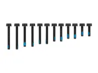 Magura Flat Mount Bolt Set
