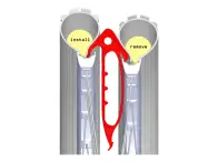 MaXalami "NoodLever" Tubeless Tire Lever