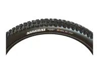 Maxxis "Assegai MaxxTerra EXO+ TR" MTB Tire - 29 Inch (foldable)