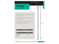 Sapim "Strong" Speiche (Ohne Nippel)