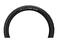 Schwalbe "Big Betty Evolution ADDIX Soft Super Trail" MTB Tire - 29 Inch (foldable)