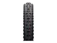 Schwalbe "Tacky Chan Evolution ADDIX Soft Super Gravity" MTB Tire - 29 Inch (foldable)