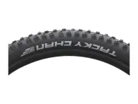 Schwalbe "Tacky Chan Evolution ADDIX Ultra Soft Super Downhill" MTB Tire - 29 Inch (foldable)