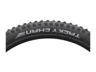 Schwalbe "Tacky Chan Soft Trail Pro" MTB Tire - 29 Inch (foldable)