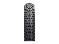 Schwalbe "Wicked Will Evolution ADDIX SpeedGrip Super Ground" MTB Tire - 29 Inch (foldable)