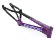 Stay Strong "For Life V5 Pro 2XL" 2025 BMX Race Frame
