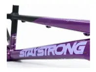 Stay Strong "For Life V5 Pro 2XL" 2025 BMX Race Frame