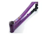 Stay Strong "For Life V5 Pro 4XL" 2025 BMX Race Frame