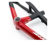 Stay Strong "For Life V5 Pro 3XL" 2025 BMX Race Frame