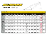 Stay Strong "For Life V5.1 Junior" 2026 BMX Race Rahmen