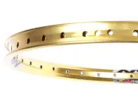 Sun "Envy Rear" Rim